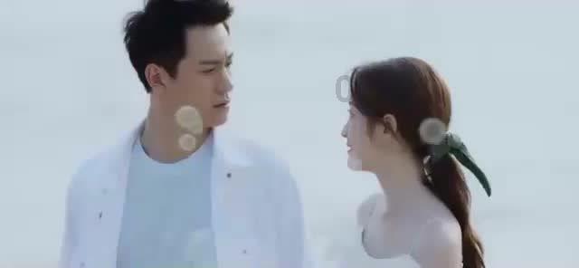 中国小动物保护协会直播分享两只被救助的猫咪状态
