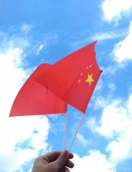 五彩鹦鹉救援