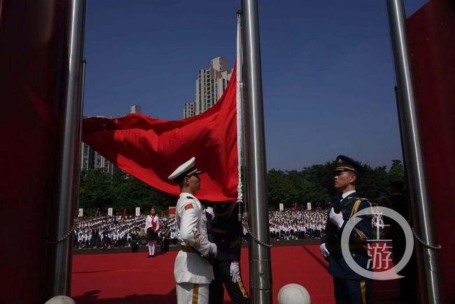 变异动物之战