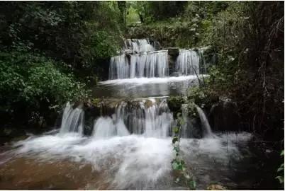 寂静岭：暴雨
