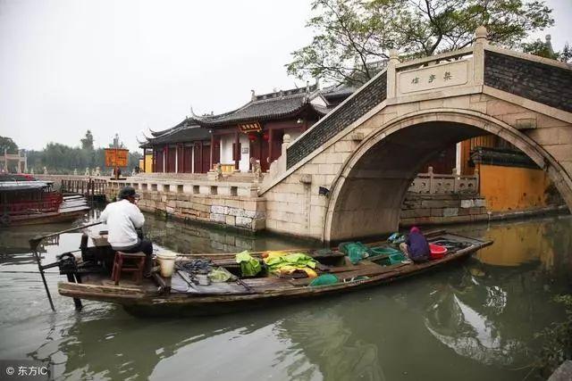 救援紫色生物